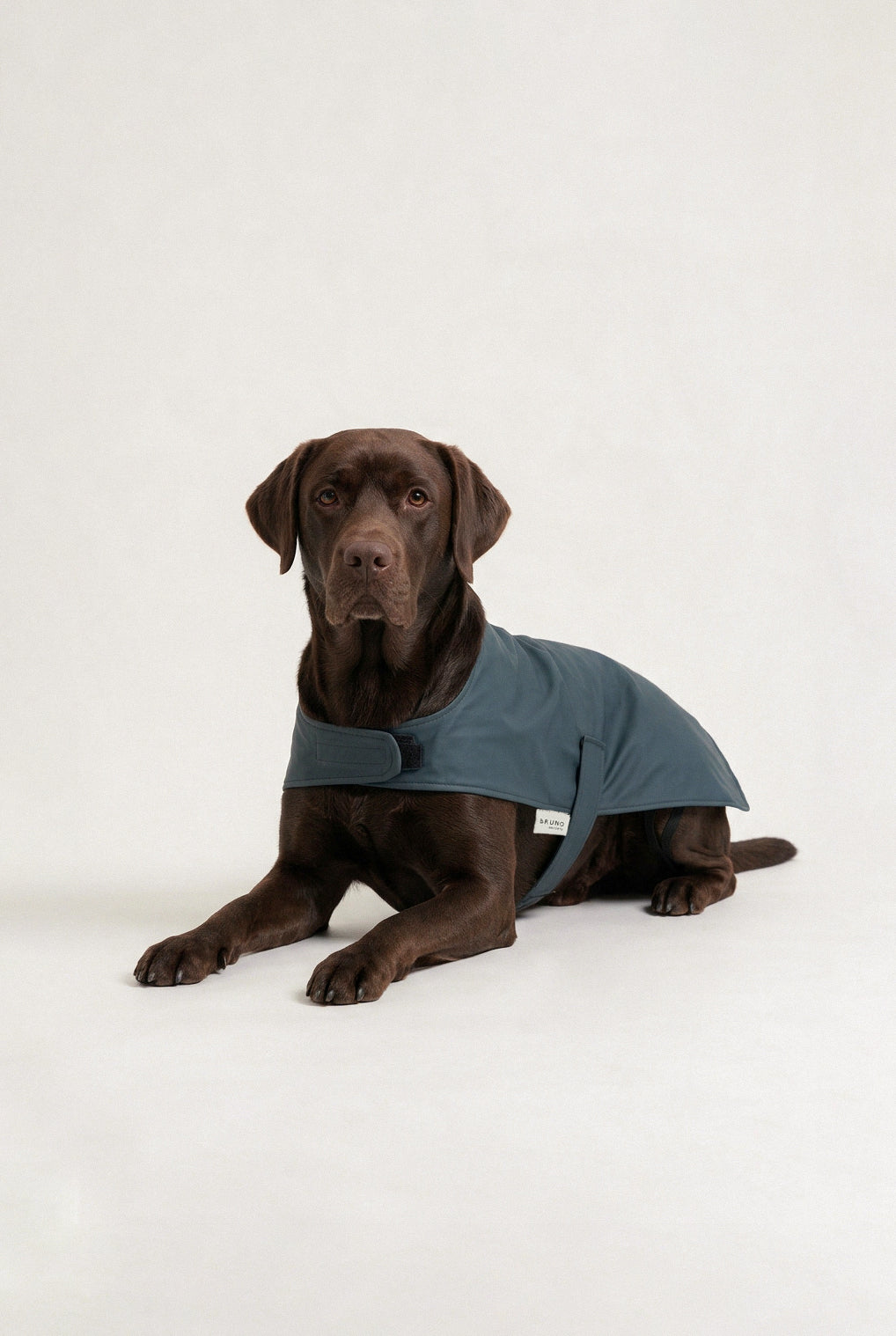 Bruno Classic Köpek Yağmurluk - Coastal Blue