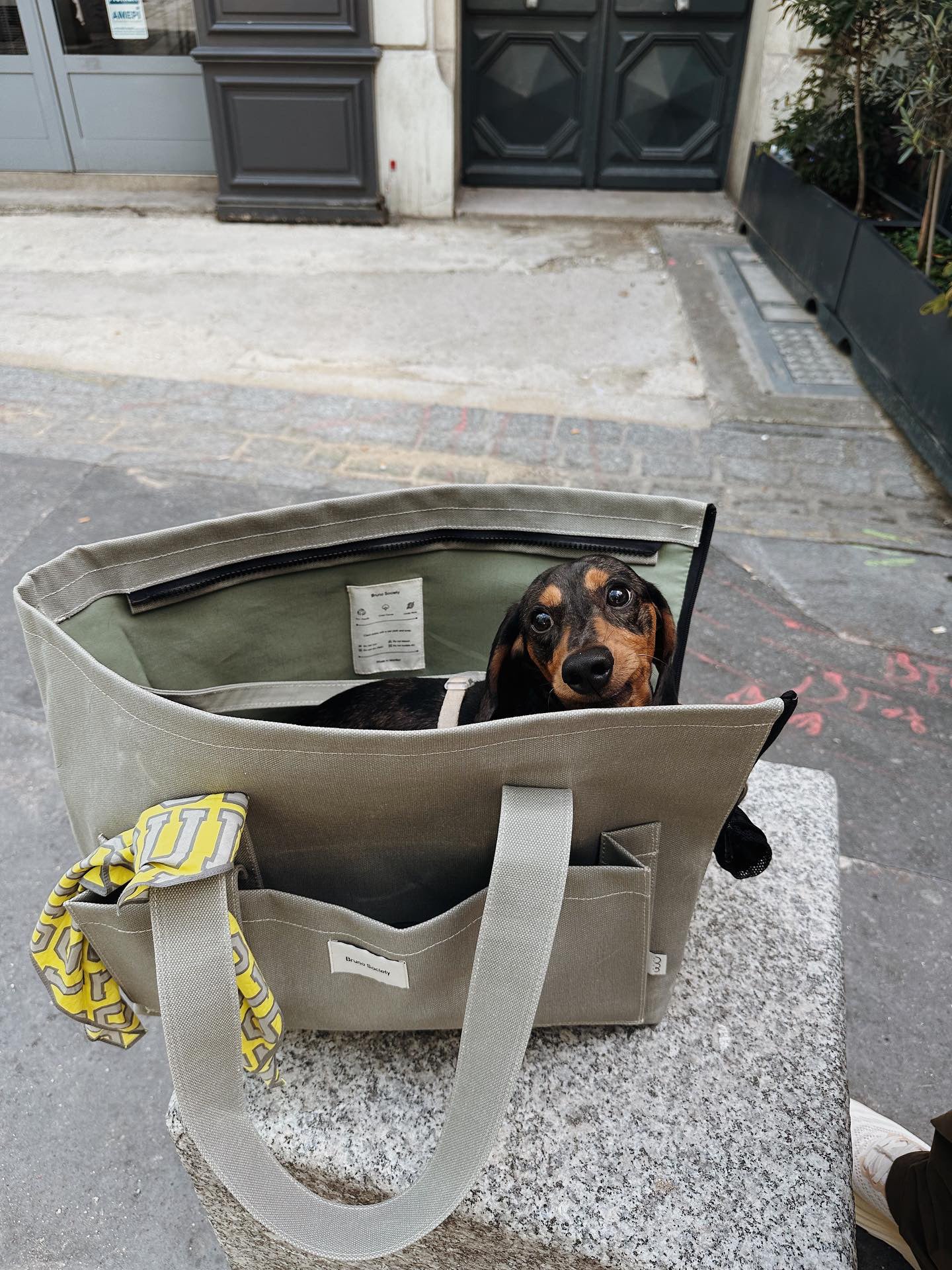 Carrier Bag - Green Tea