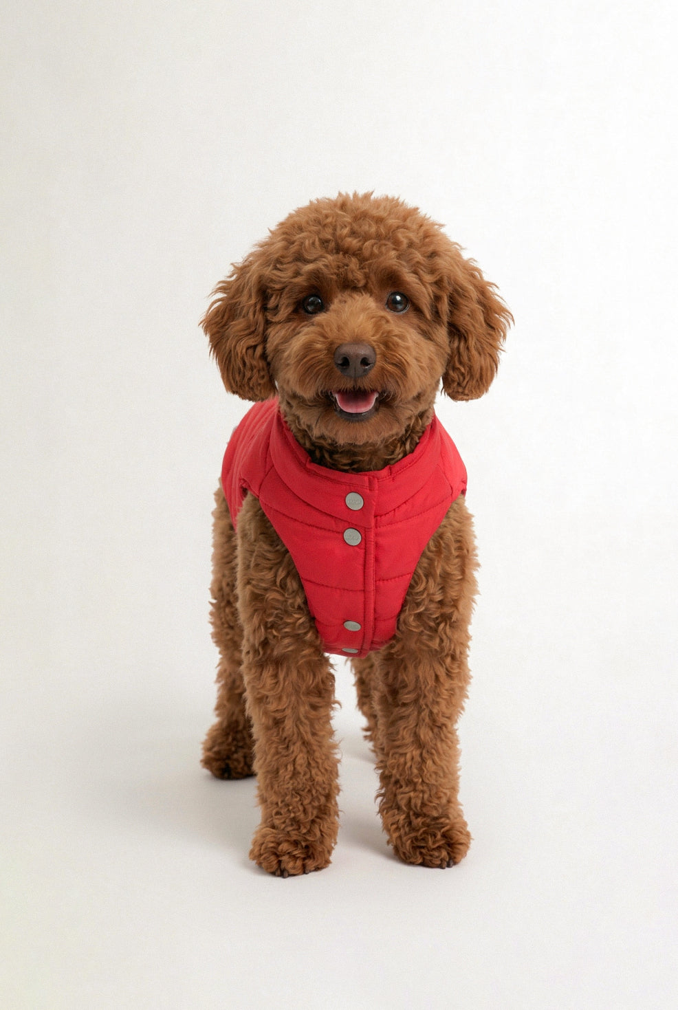 Bruno Classic Puffer Mont - Cherry Red