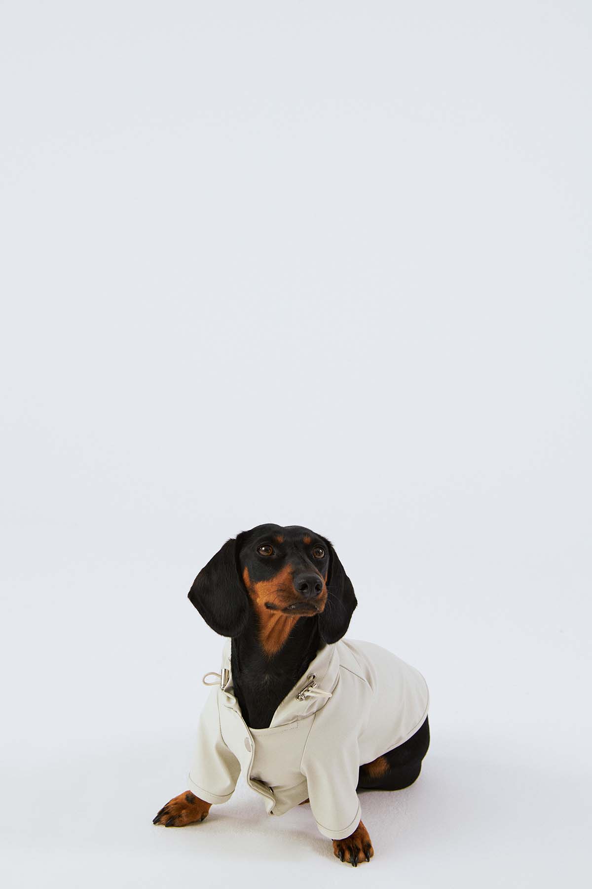 Köpek Yağmurluk - Kar Beyazı - Bruno Society