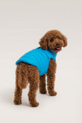 Puffer Vest - Baby Blue