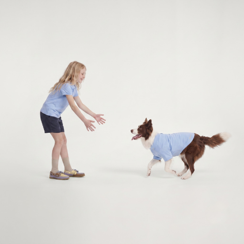Köpek Polo Yaka