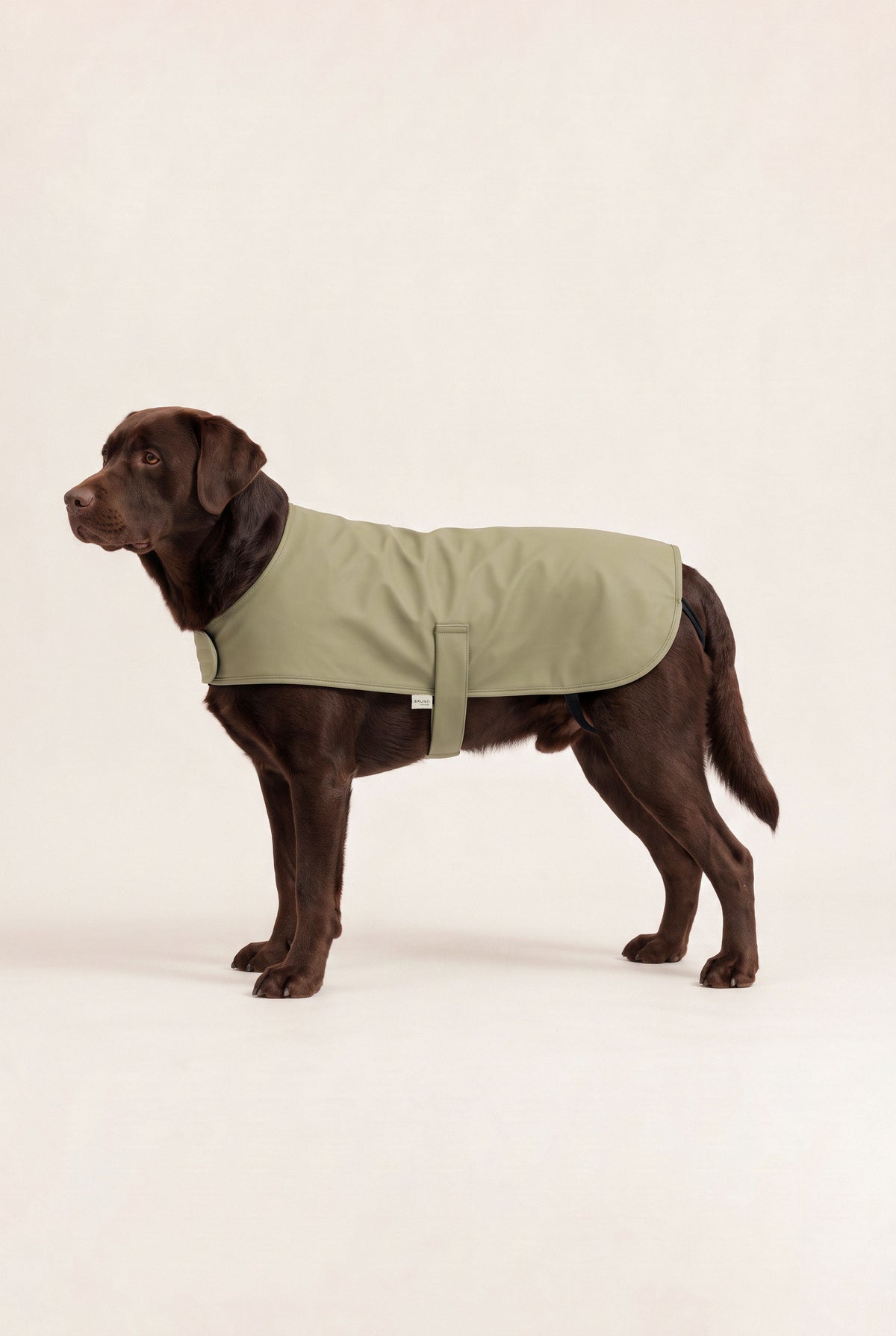 Strapped Raincoat - Pistachio Green