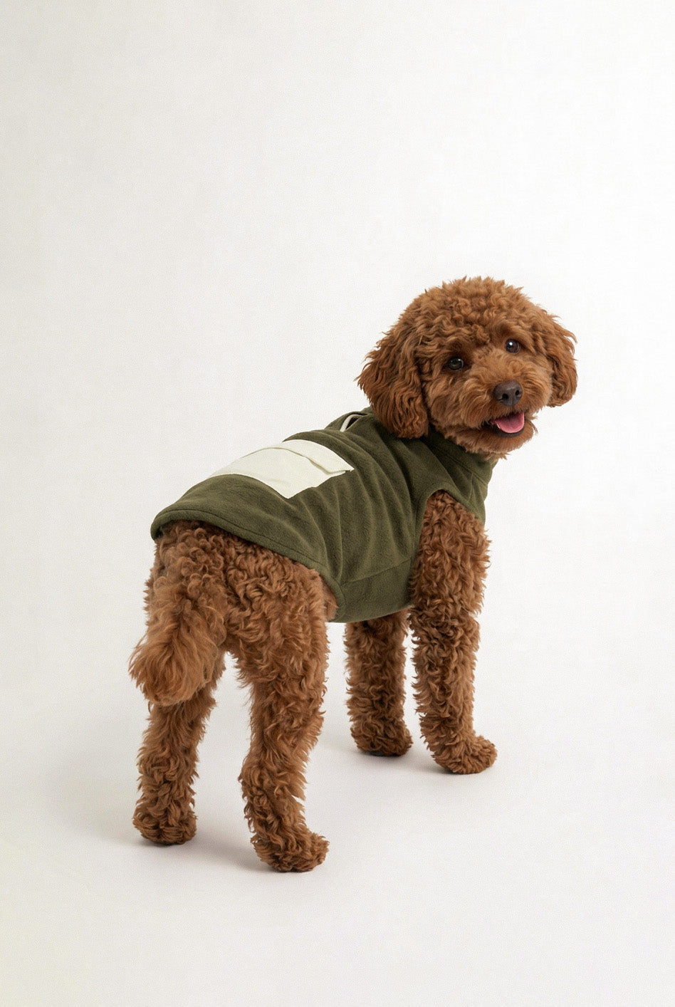 Bruno Cozy Köpek Polar Mont - Sage Green