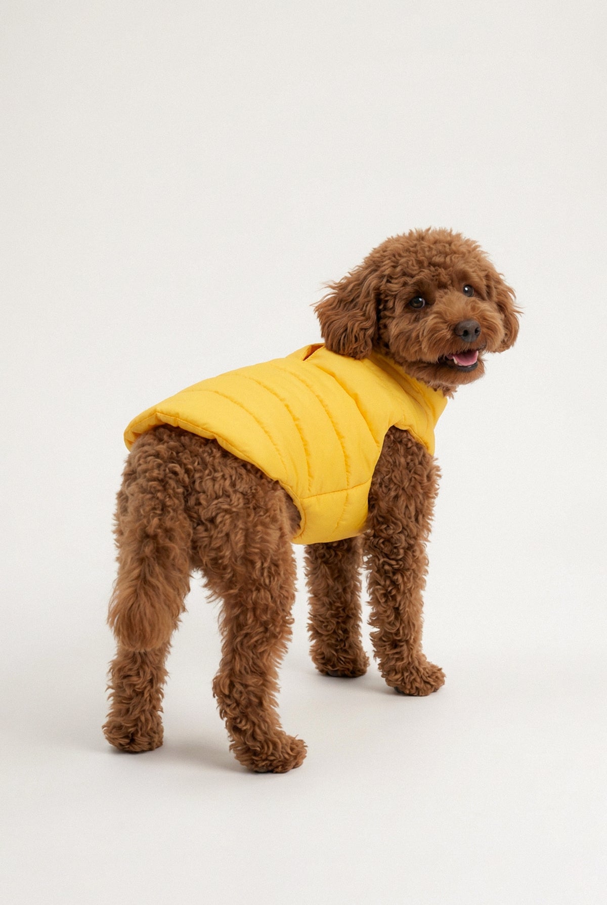Puffer Vest - Sunny Yellow