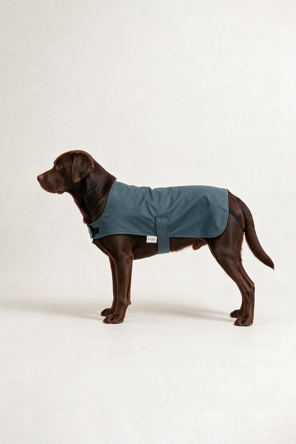 Bruno Classic Köpek Yağmurluk - Coastal Blue