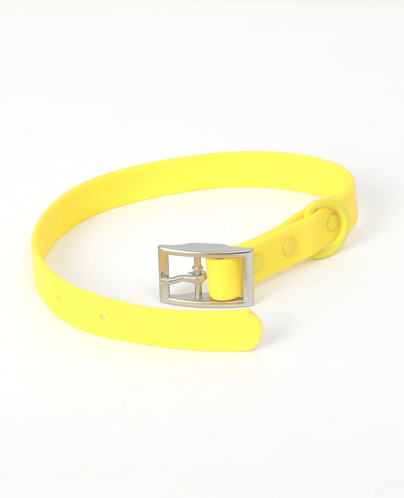 Collar - Sunny Yellow