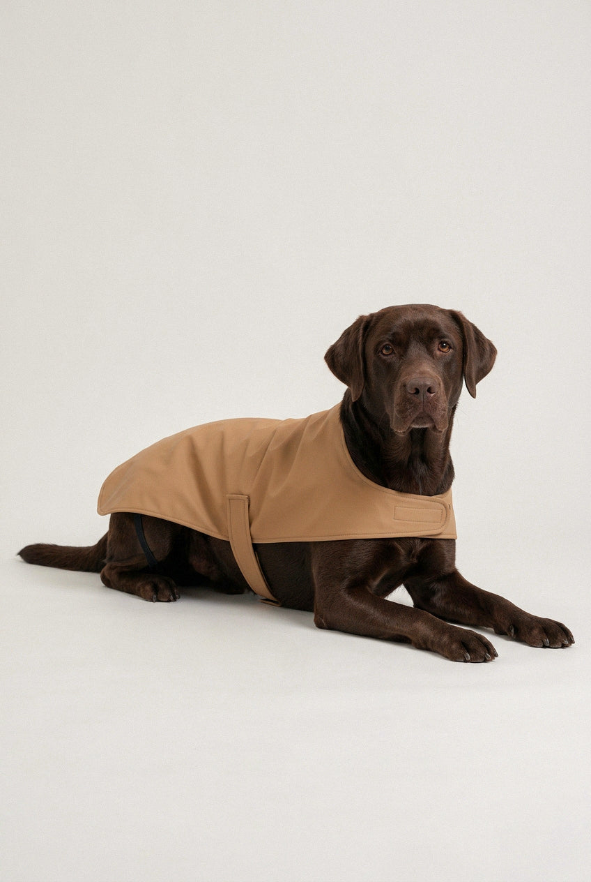 Bruno Classic Köpek Yağmurluk - Desert Camel