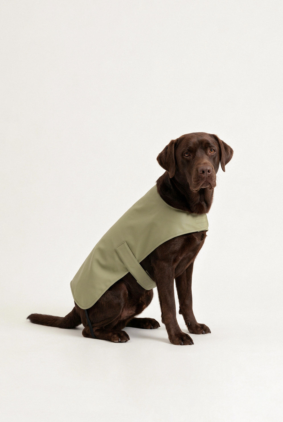 Strapped Raincoat - Pistachio Green