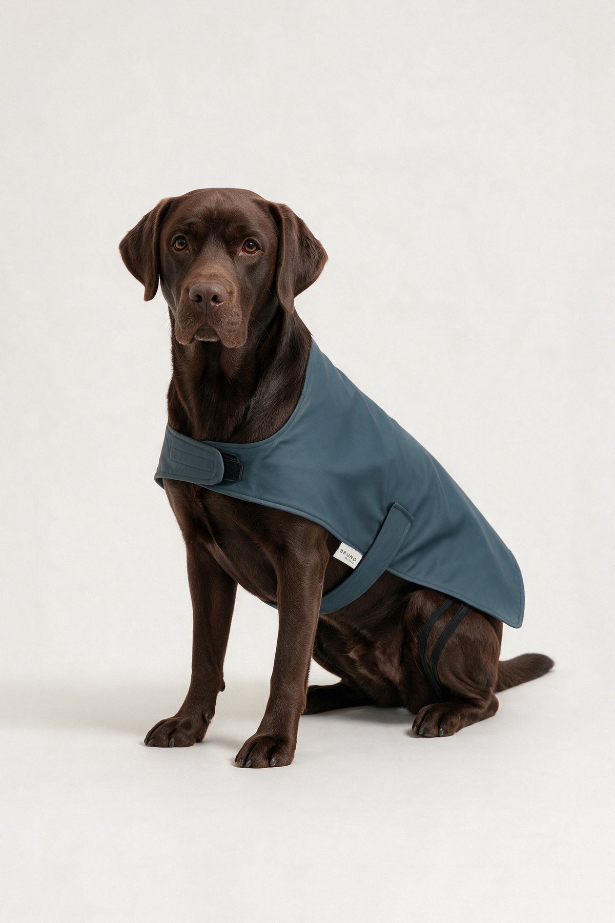 Bruno Classic Köpek Yağmurluk - Coastal Blue
