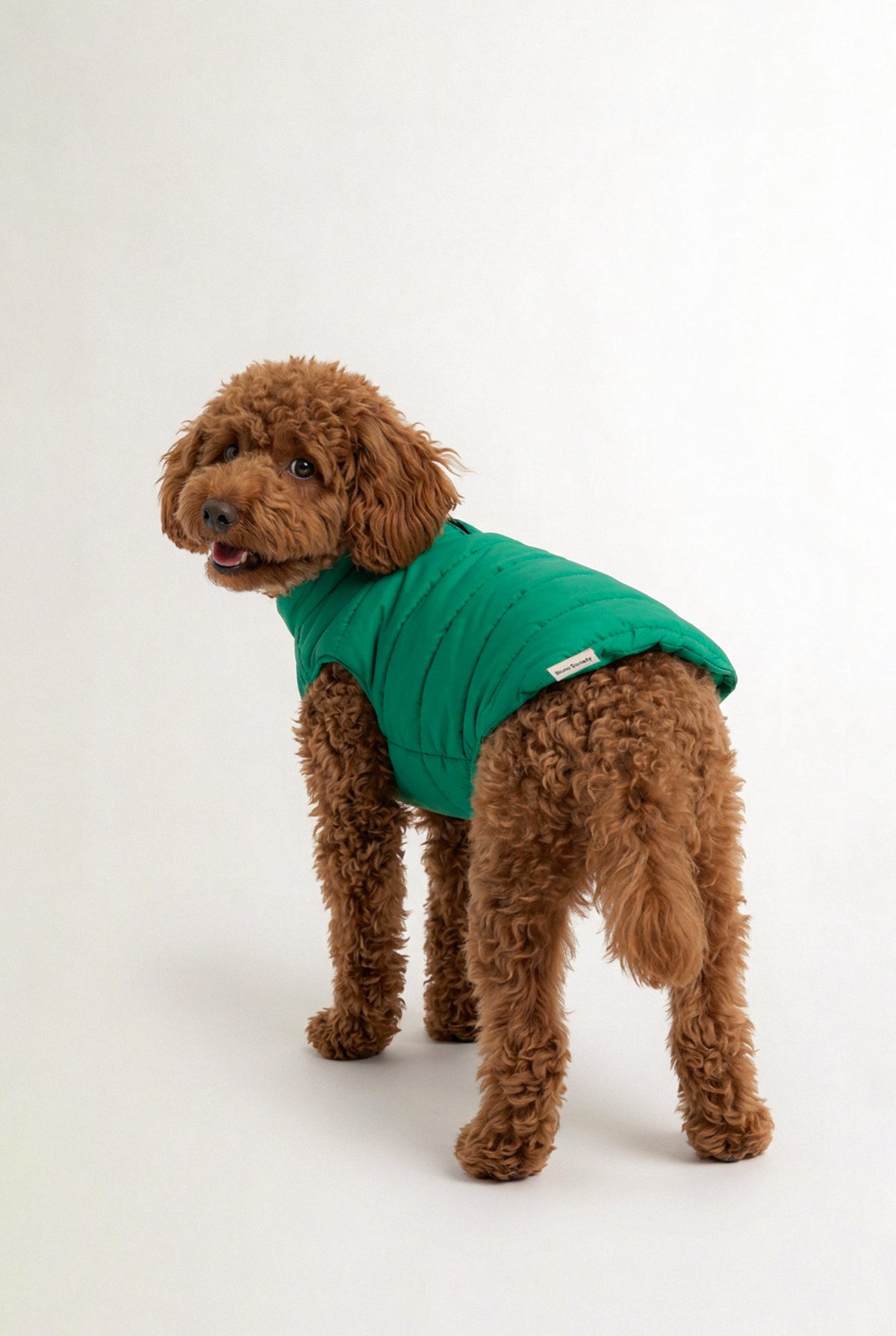 Puffer Vest - Green