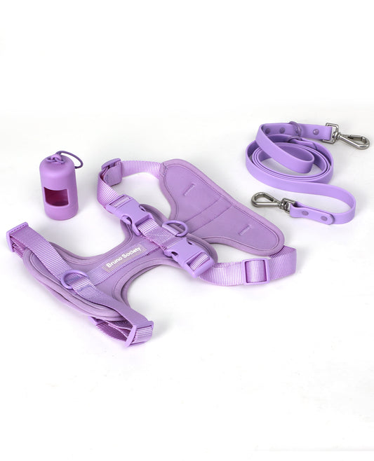 Leash - Lilac Purple