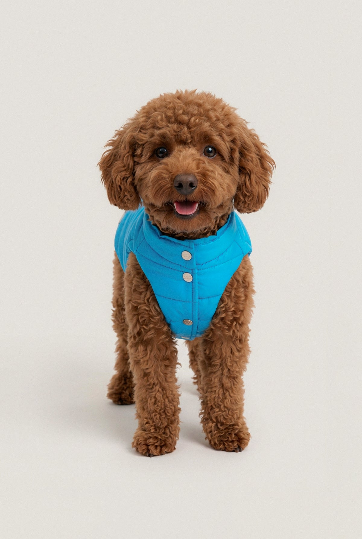 Bruno Classic Puffer Mont - Cloud Blue