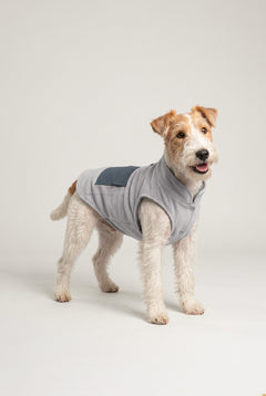 Bruno Cozy Köpek Polar Mont - Dove Gray