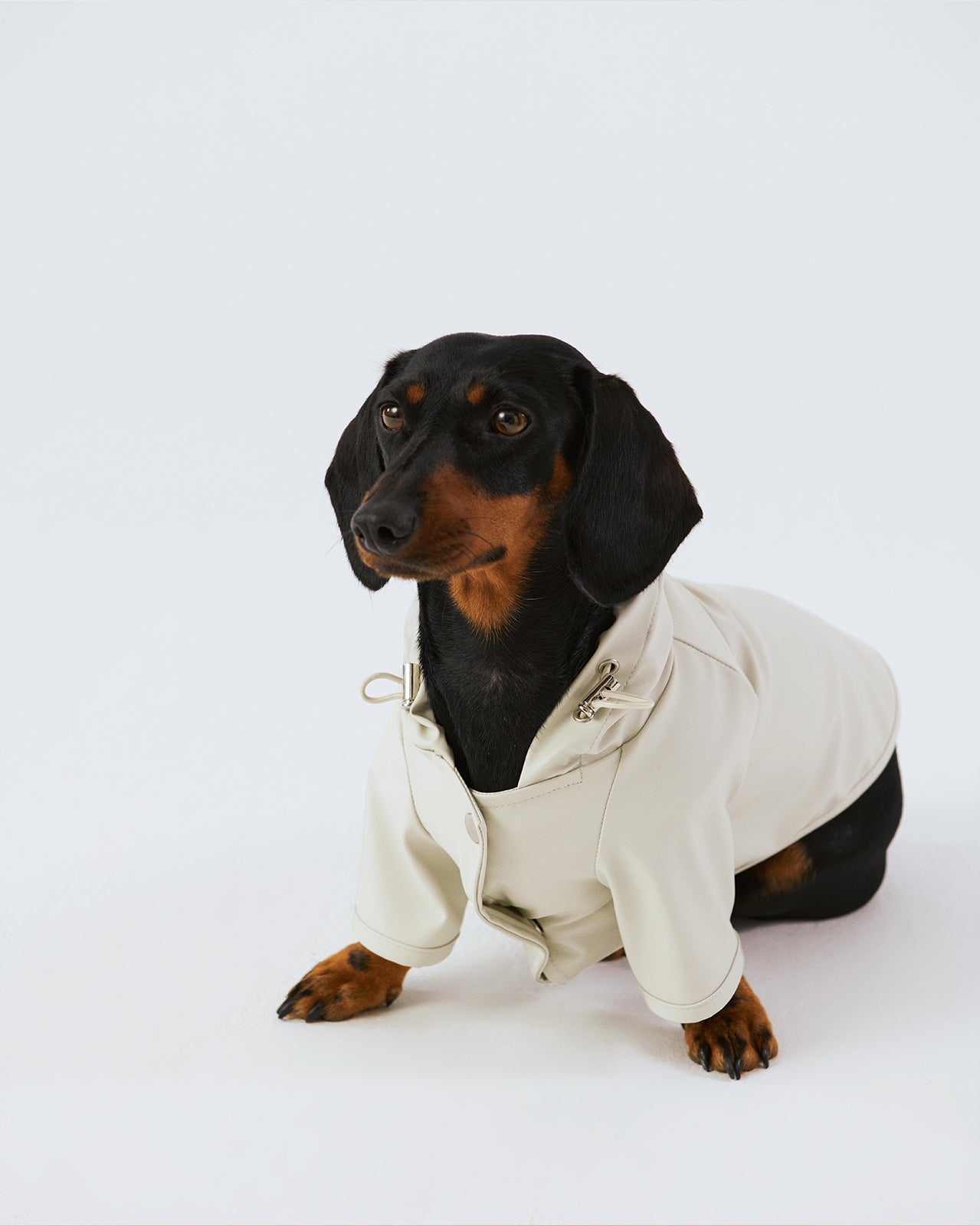 Dog Raincoat - White