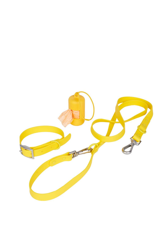 Collar Set - Lemon Yellow