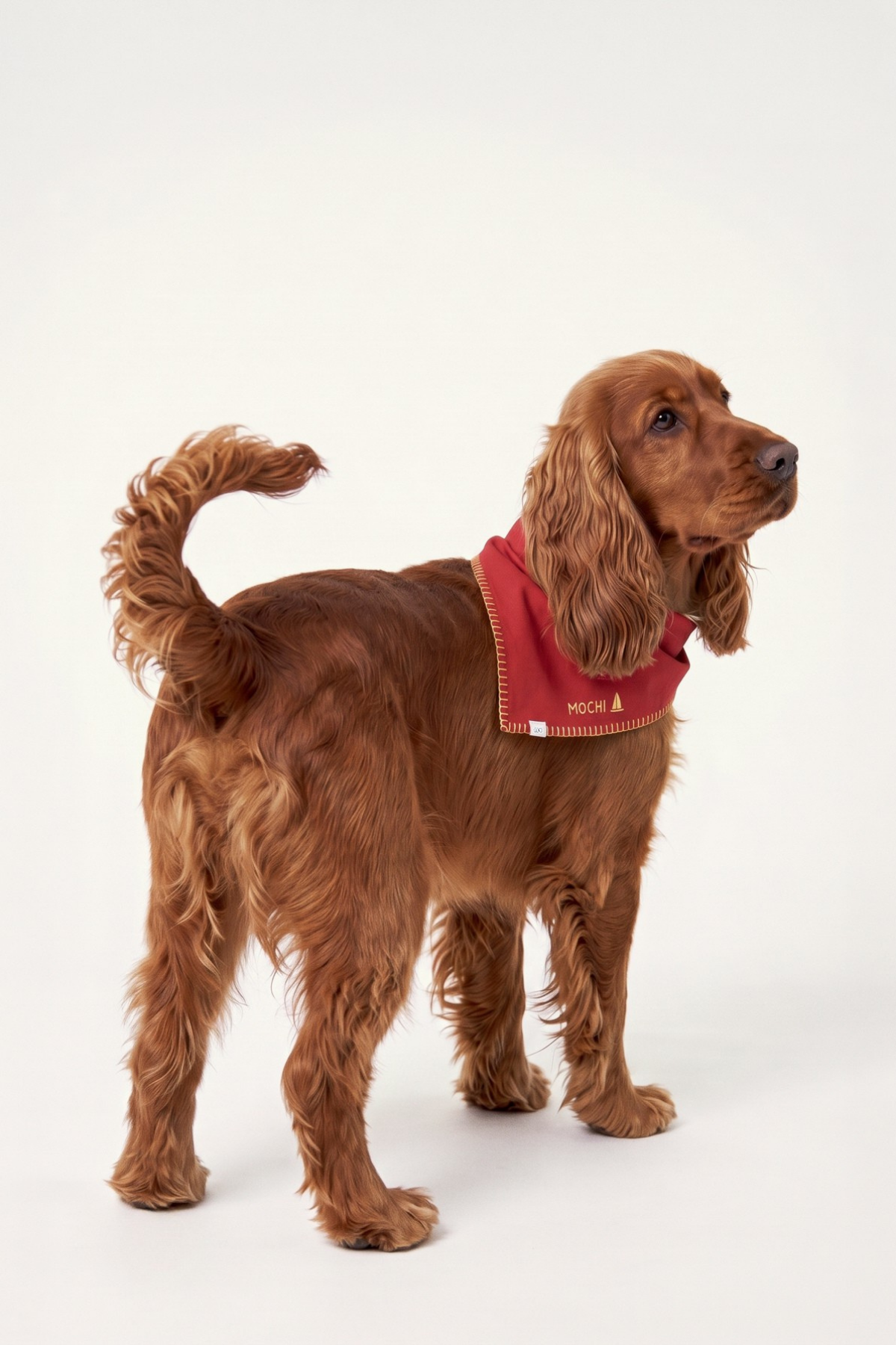 Summer - Kişiselleştirilebilir Bandana - Köpek