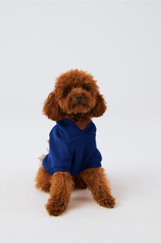 Bruno Cloud Köpek Hoodie - Deep Navy