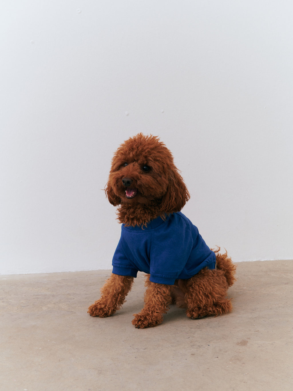 Kombin T-Shirt - Mavi