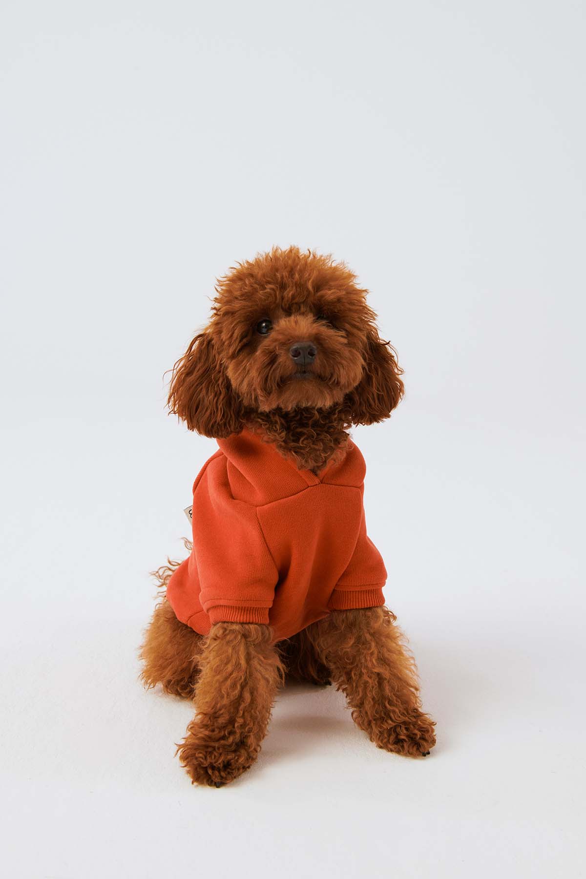 Köpek Hoodie - Açık Kırmızı