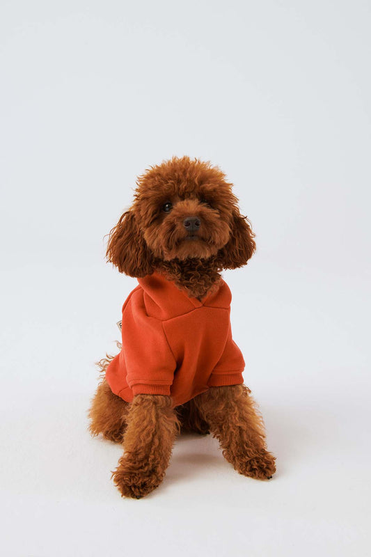 Köpek Hoodie - Açık Kırmızı