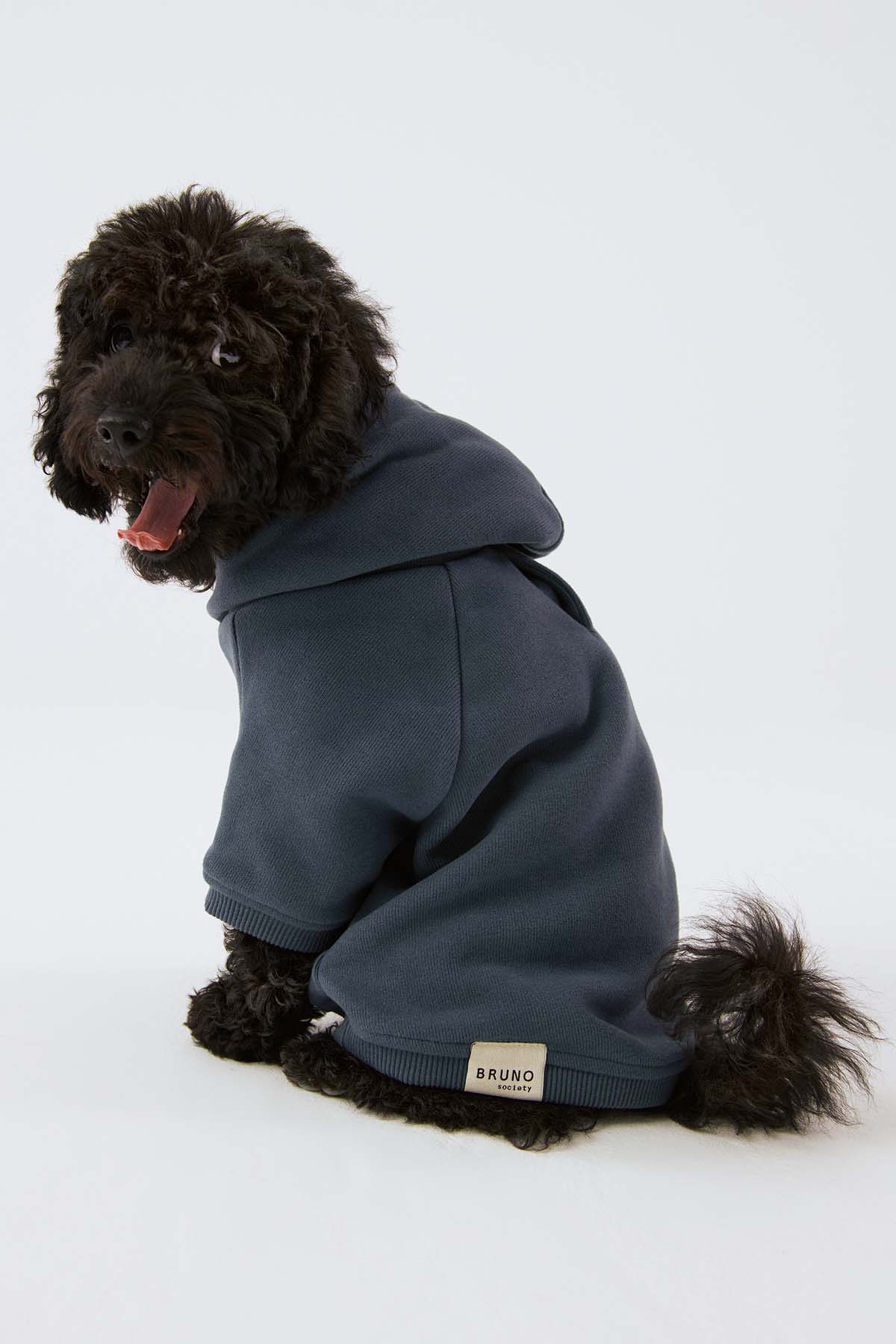 Bruno Cloud Köpek Hoodie - Indigo Night