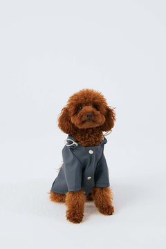 Bruno Signature Köpek Yağmurluk - Coastal Blue