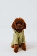 Bruno Signature Köpek Yağmurluk - Matcha Green