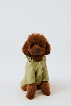 Bruno Signature Köpek Yağmurluk - Matcha Green