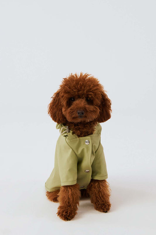 Köpek Yağmurluk - Matcha Green