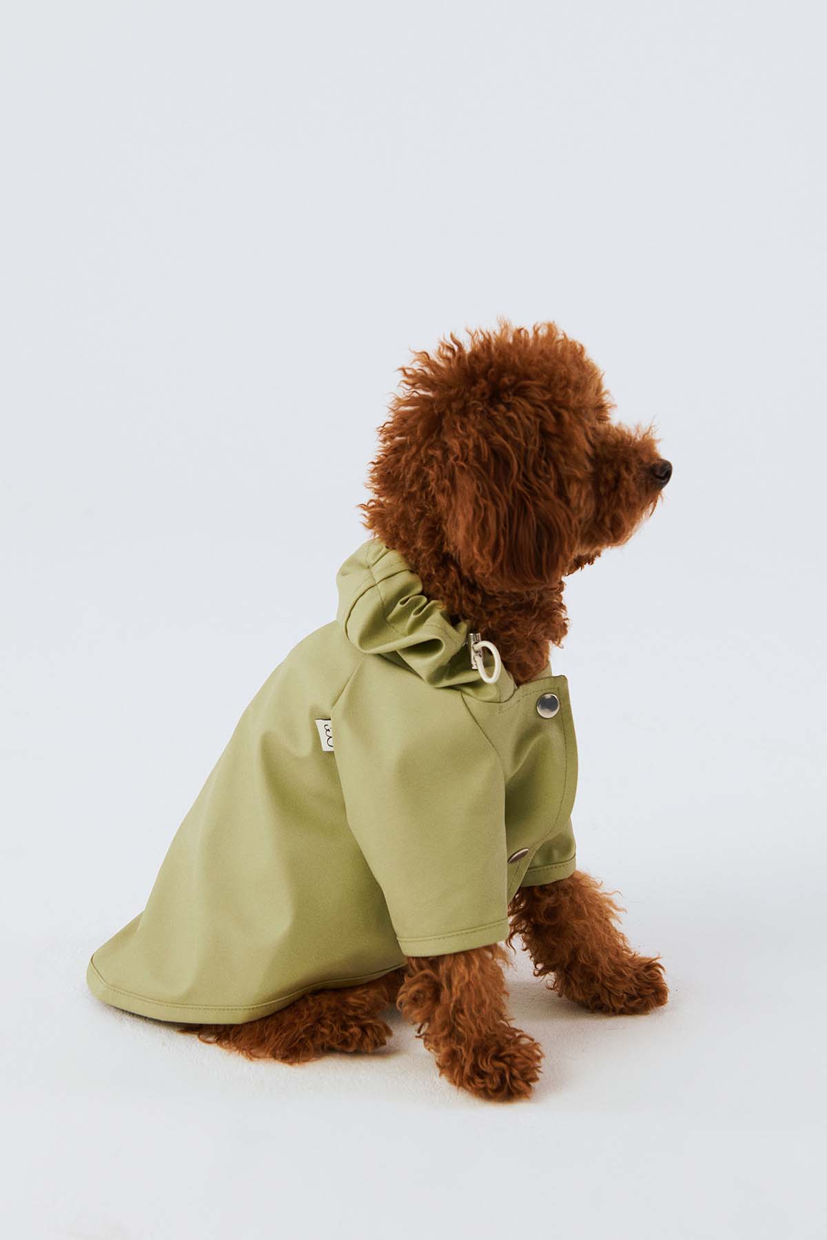 Matchy Raincoat - Pistachio Green