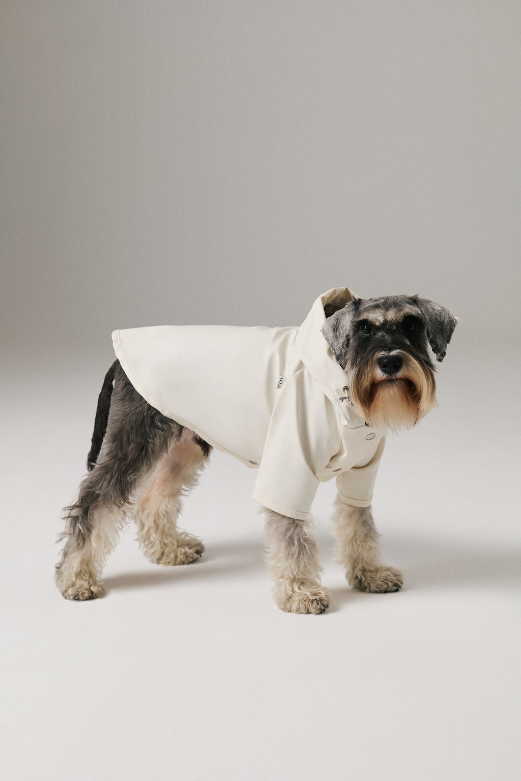 Bruno Signature Köpek Yağmurluk - Ivory White