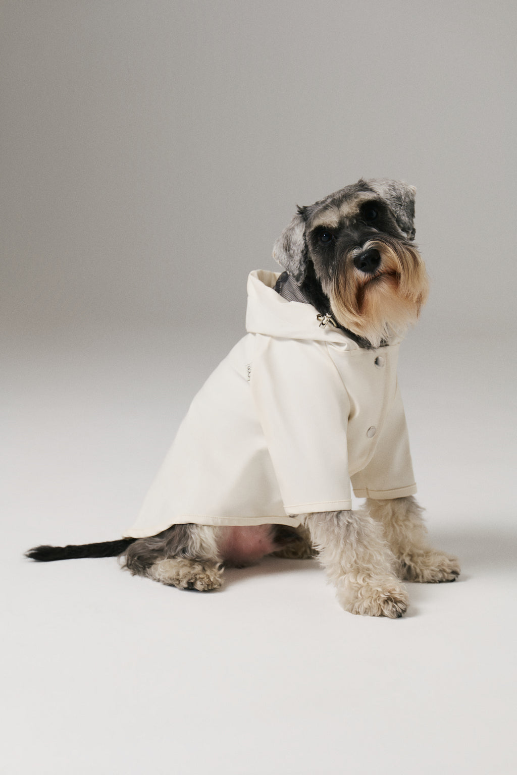 Bruno Signature Köpek Yağmurluk - Ivory White