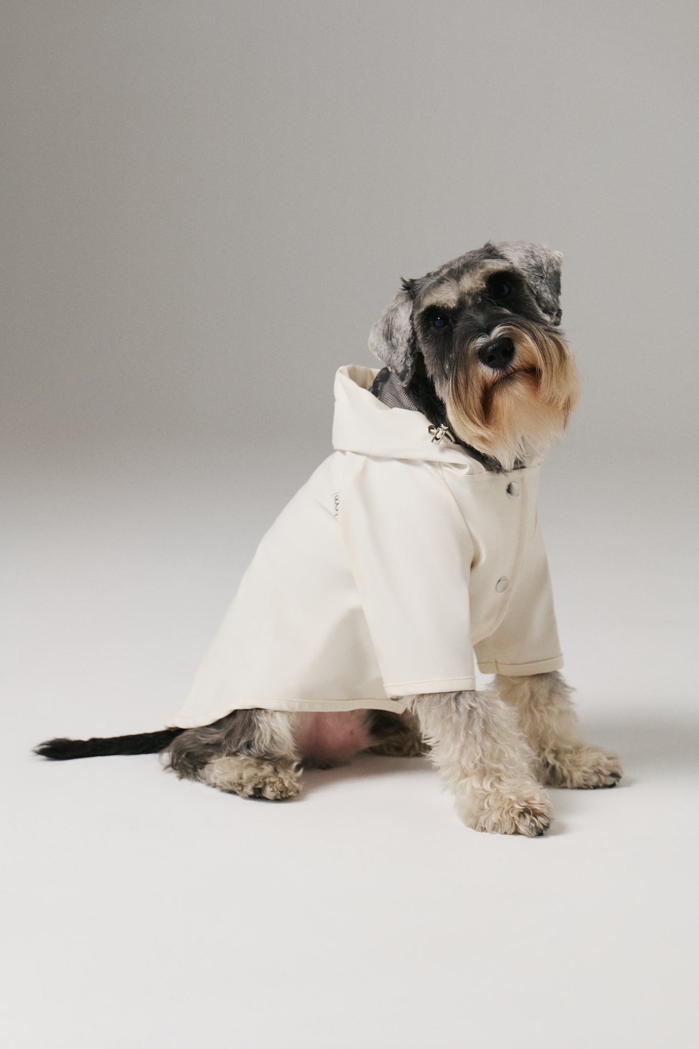 Bruno Signature Köpek Yağmurluk - Ivory White