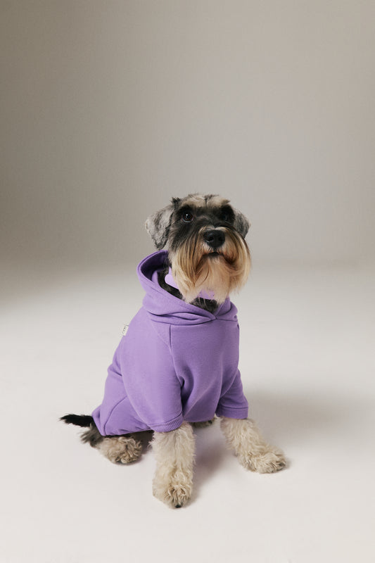 Köpek Hoodie - Lila
