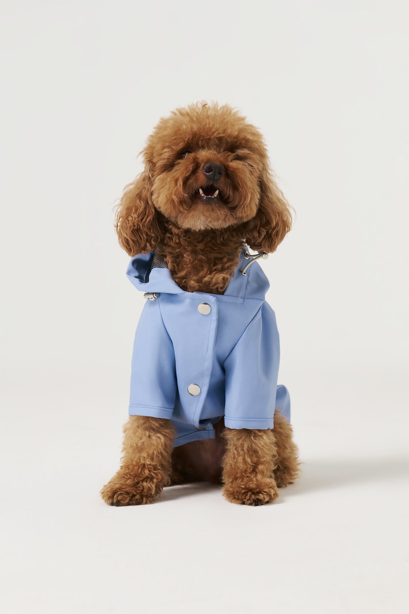 Bruno Signature Köpek Yağmurluk - Cloud Blue