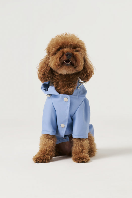 Köpek Yağmurluk - Baby Blue