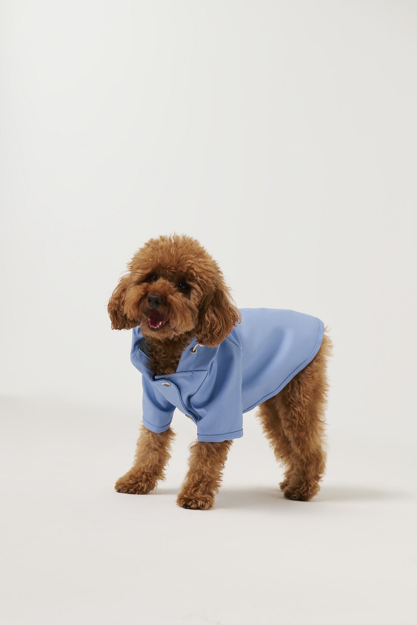 Bruno Signature Köpek Yağmurluk - Cloud Blue
