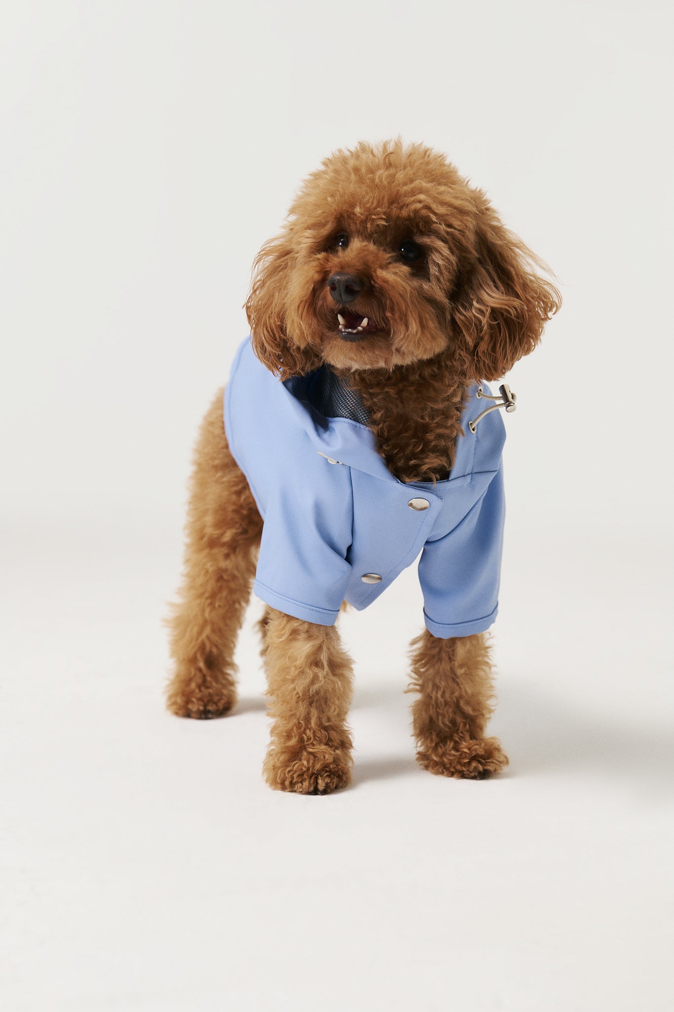 Bruno Signature Köpek Yağmurluk - Cloud Blue