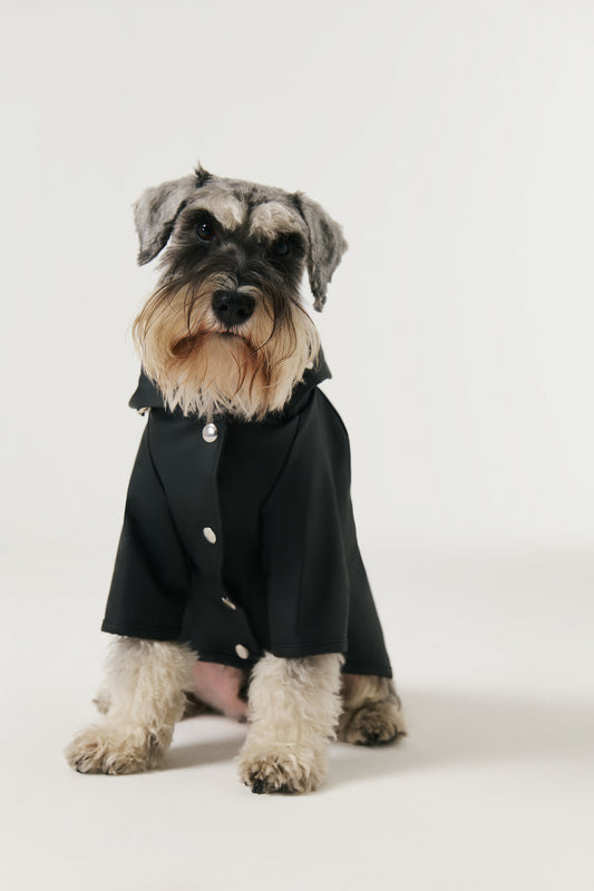 Köpek Yağmurluk - Black