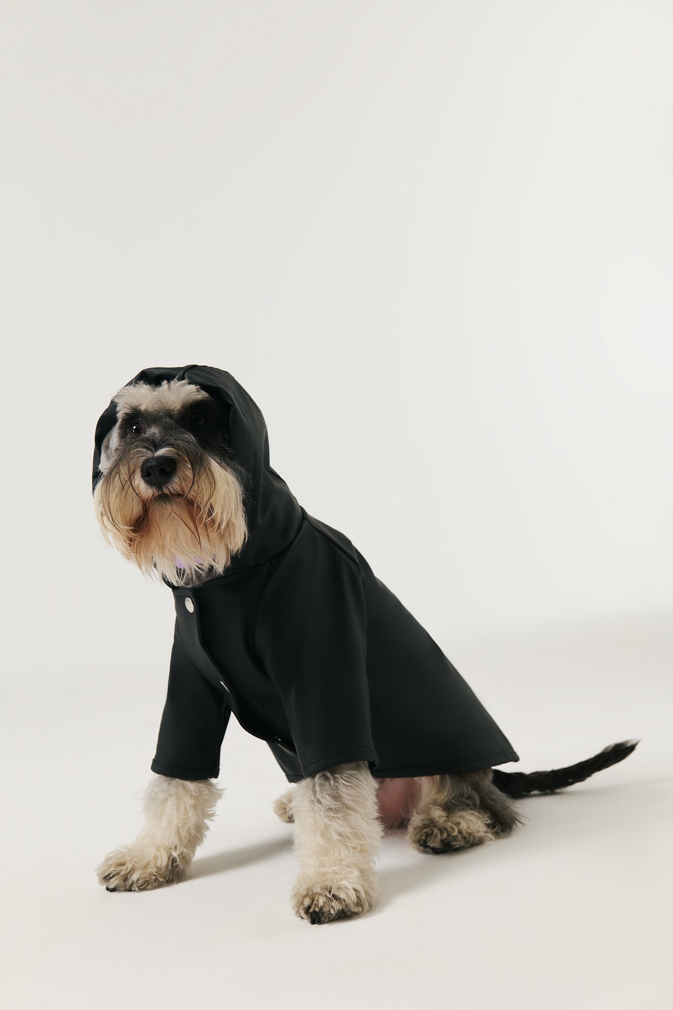 Bruno Signature Köpek Yağmurluk - Noir Black