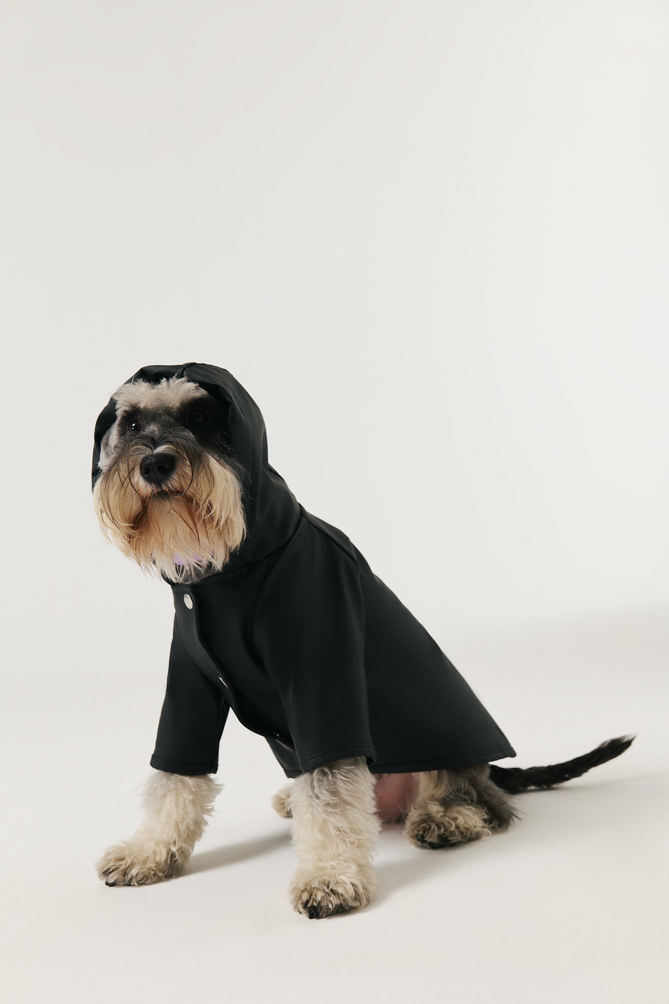 Dog Raincoat - Black