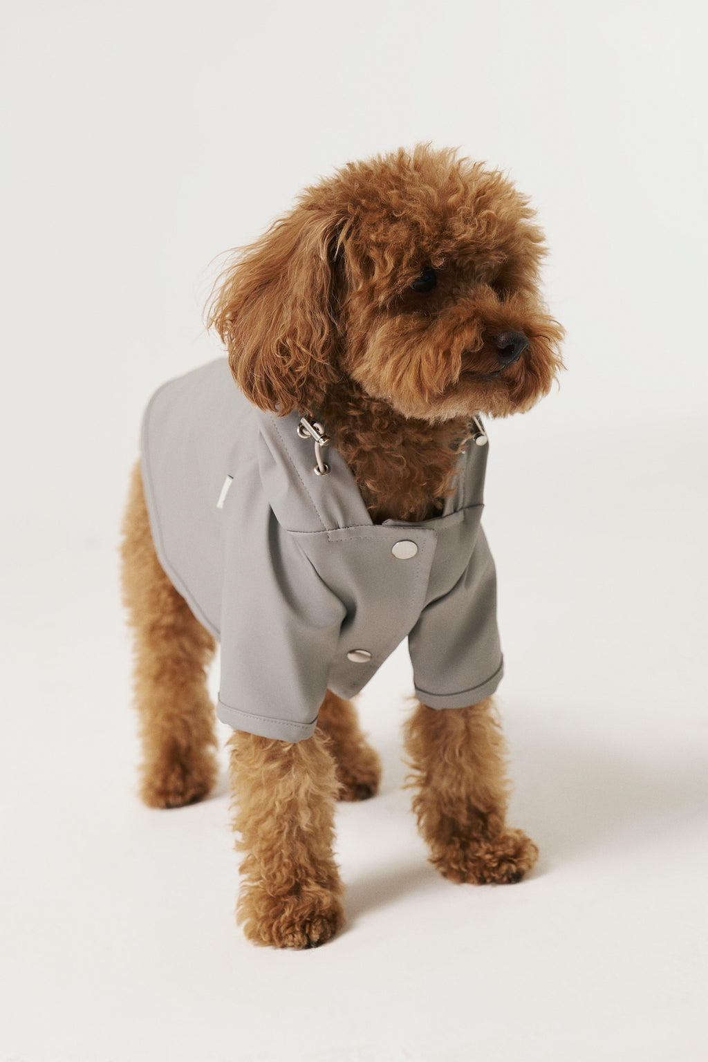 Bruno Signature Köpek Yağmurluk - Stone Gray