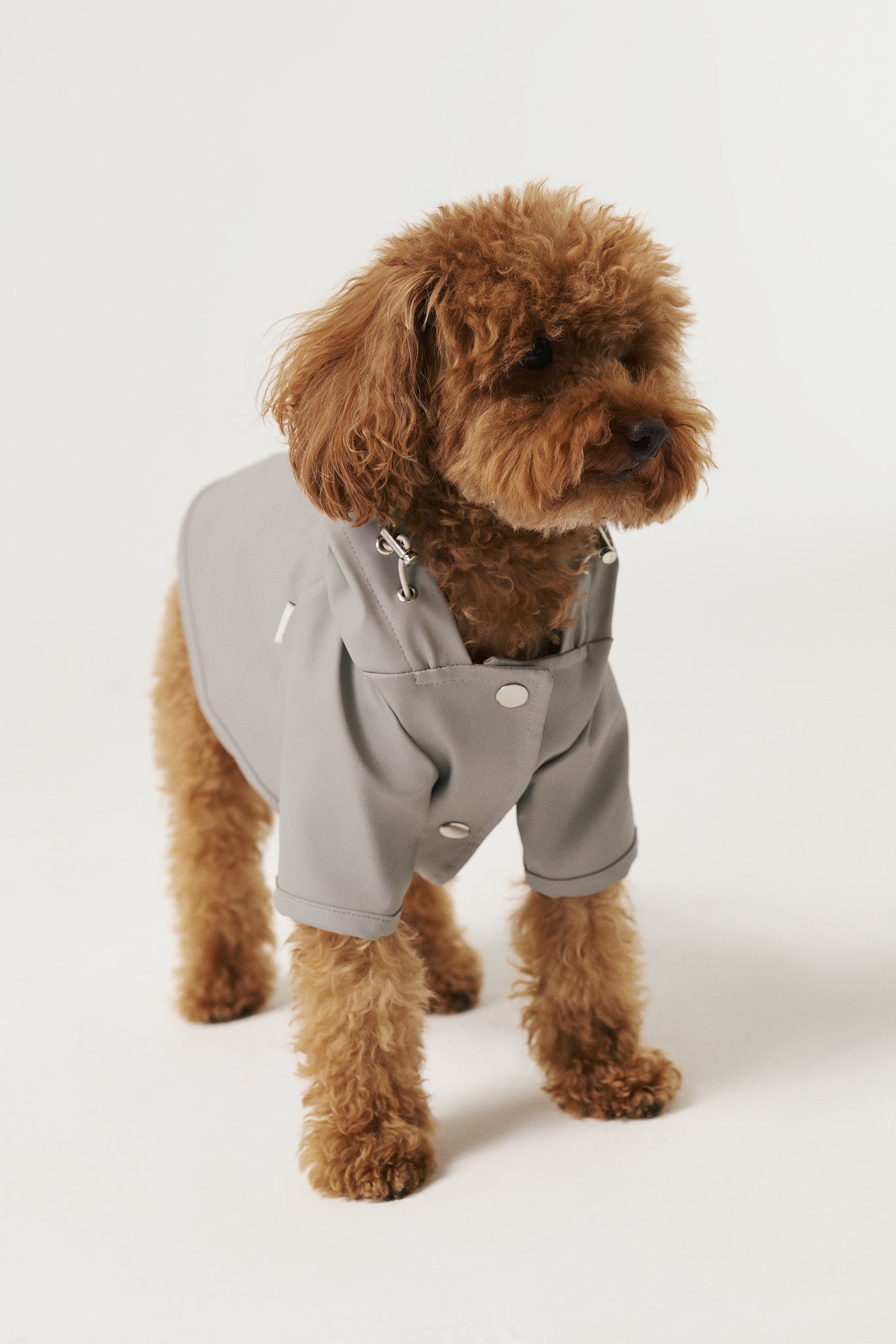Bruno Signature Köpek Yağmurluk - Stone Gray