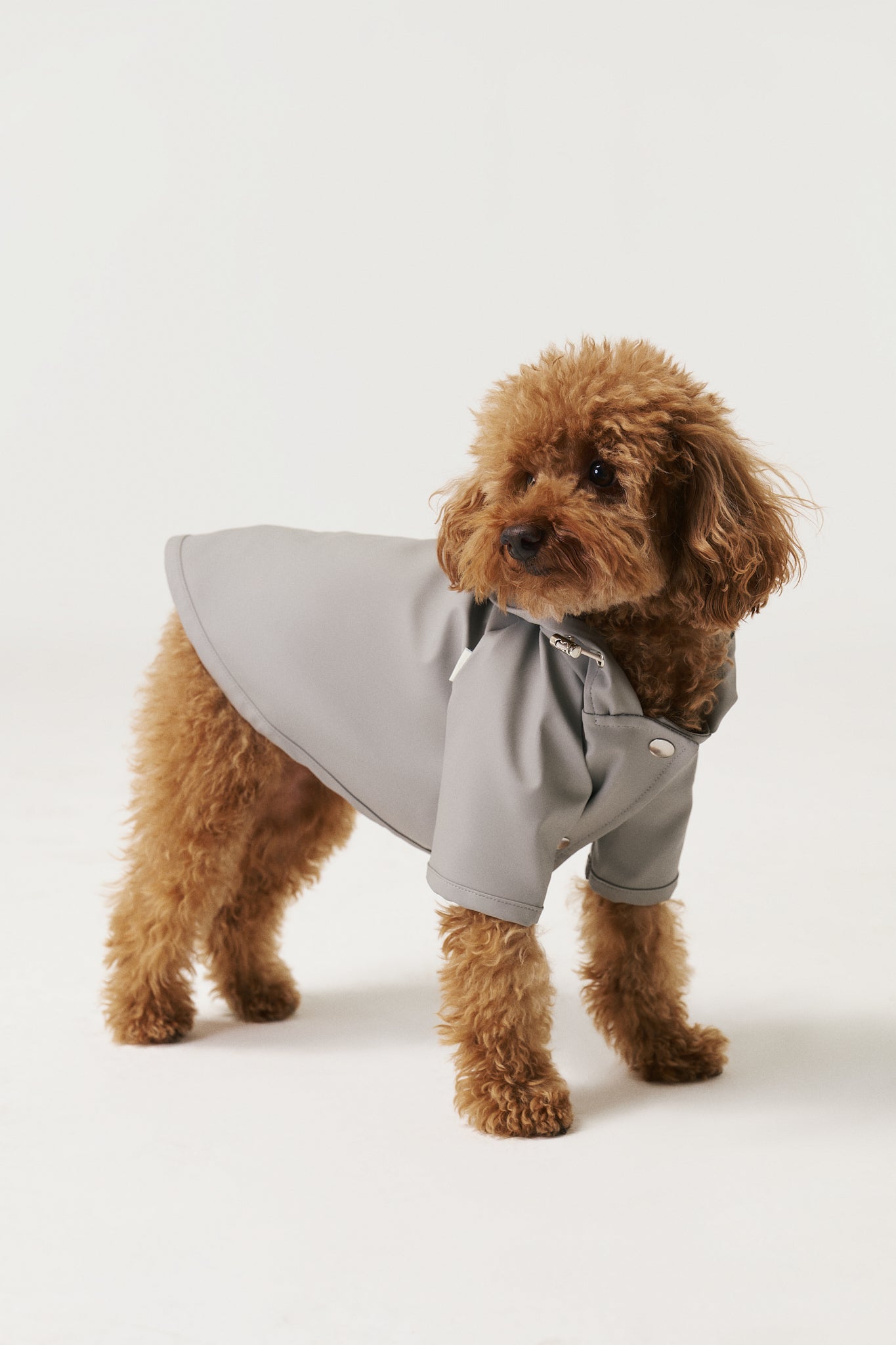 Dog Raincoat - Gray