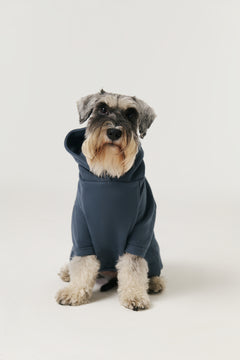 Bruno Cloud Köpek Hoodie - Indigo Night