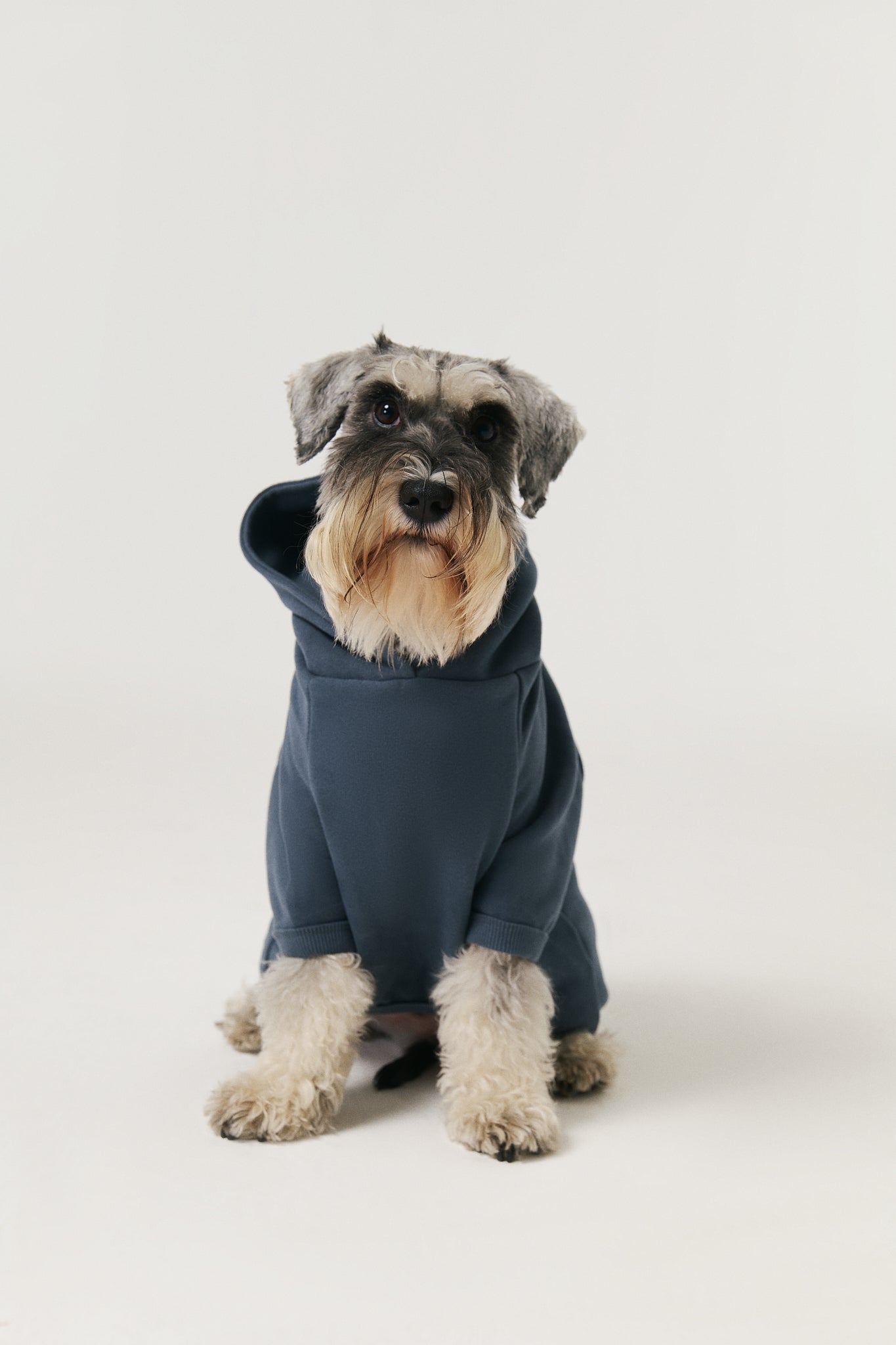 Bruno Cloud Köpek Hoodie - Indigo Night
