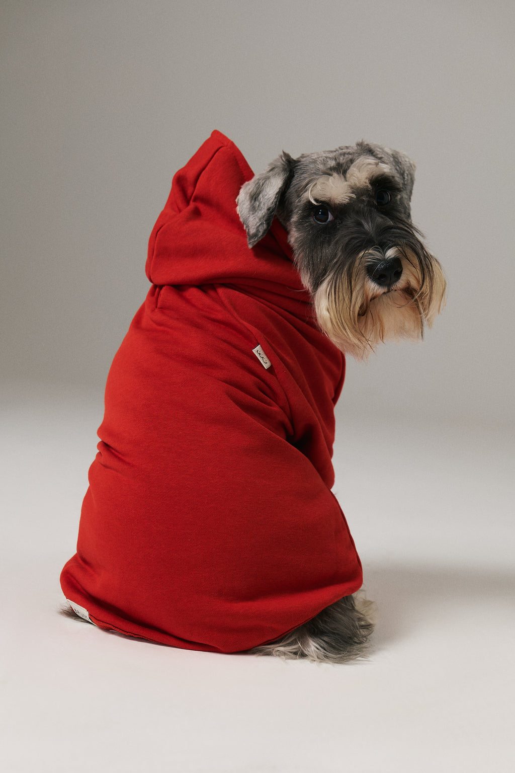 Köpek Hoodie - Kiraz