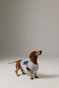 Bruno Cozy Köpek Polar Mont - Dove Gray