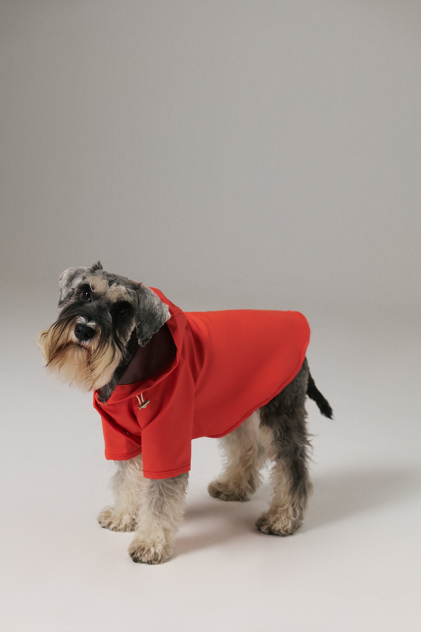 Bruno Signature Köpek Yağmurluk - Poppy Red